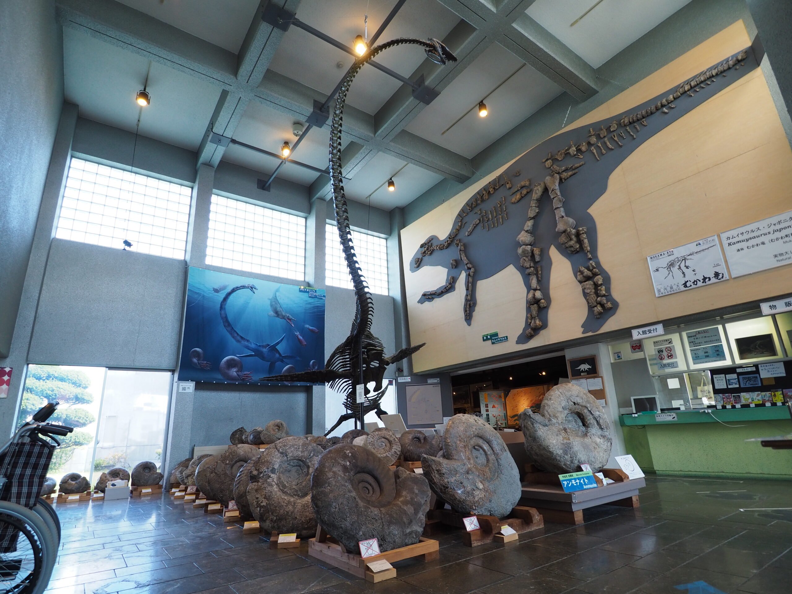 🏛️ 무카와정립 호베츠 박물관 (むかわ町立穂別博物館) 이미지 4